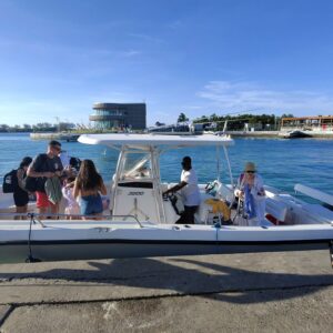 Half Day Vip Island Tour